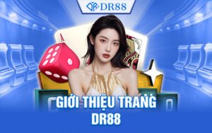 Giới thiệu về DR88